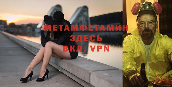 прущие грибы Беломорск