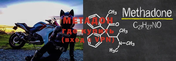 прущие грибы Беломорск