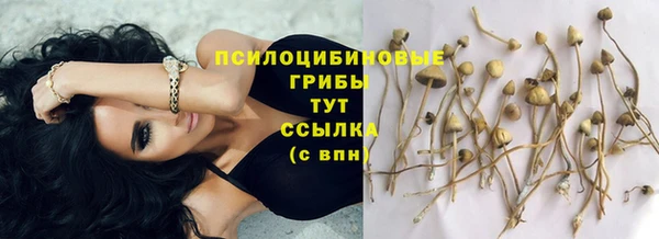 mdma Богородицк