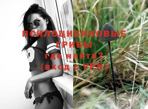 крисы Белокуриха