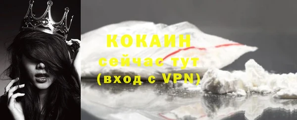 дживик Богданович