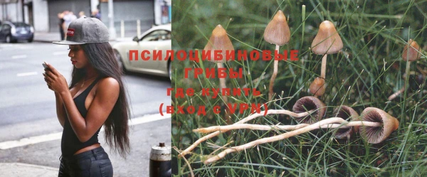 дживик Богданович