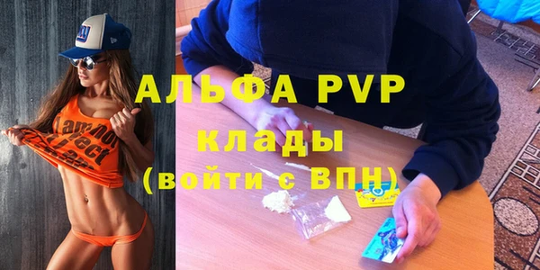 крисы Белокуриха
