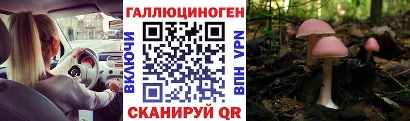 Псилоцибиновые грибы MAGIC MUSHROOMS  Дно 